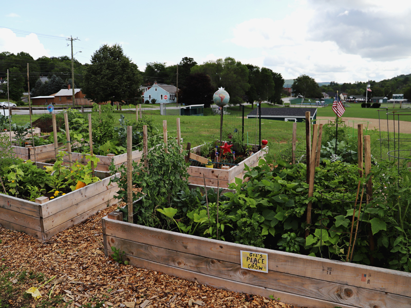 community gardens